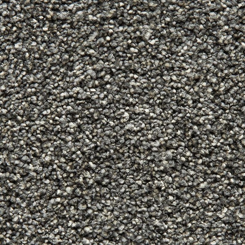 Cozy Companion I & II in New Moon - Carpet Barn LLC