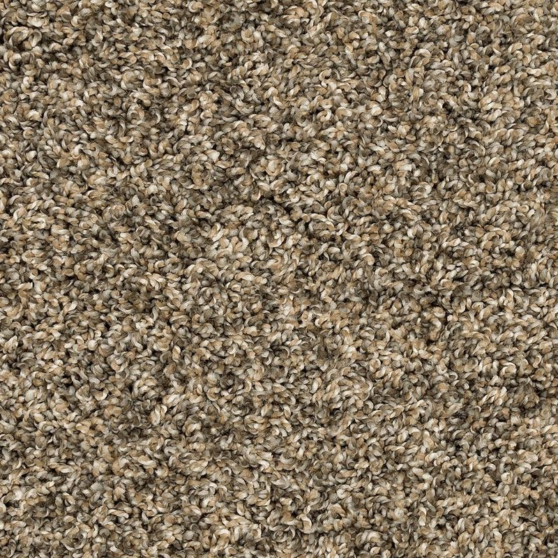 Purrsonality II in Cracked Wheat - Carpet Barn LLC