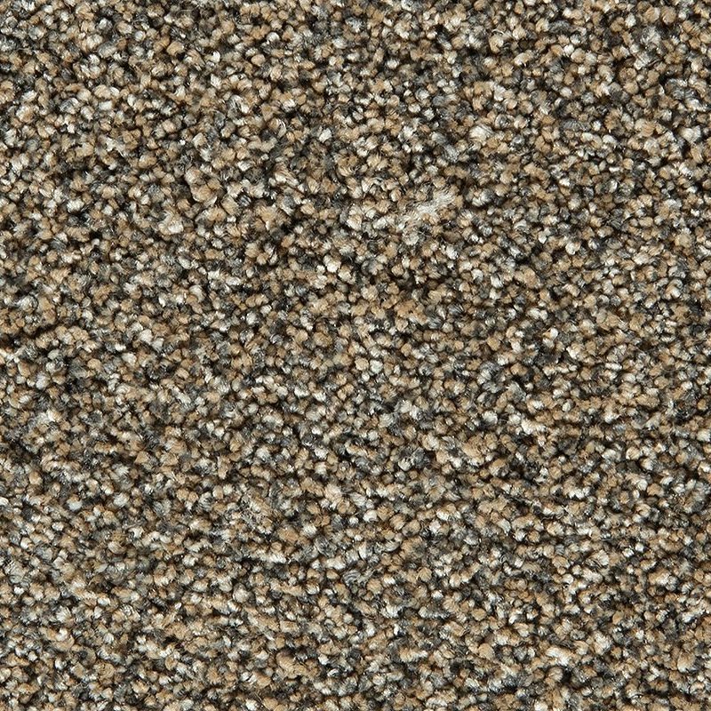 Cozy Companion I in Thatched - Carpet Barn LLC